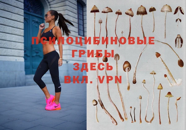 альфа пвп Алексеевка