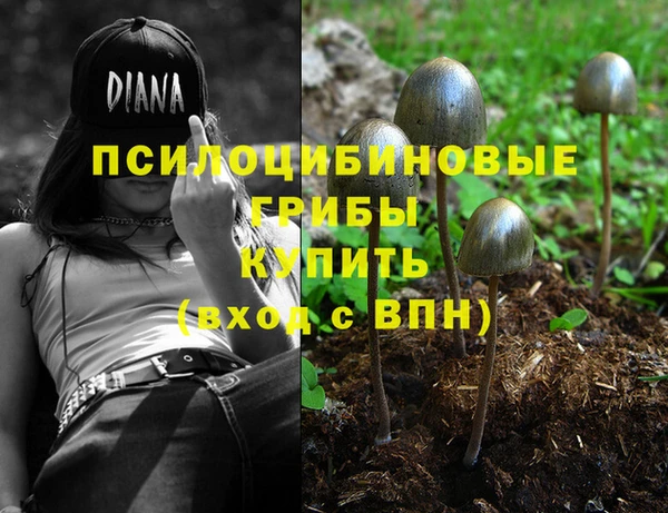 прущая мука Алзамай