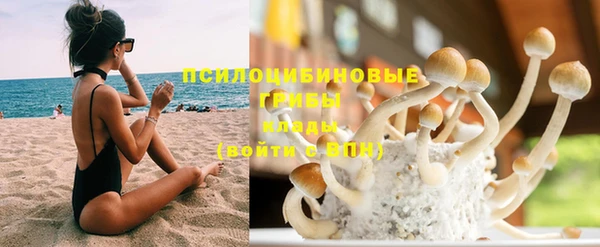 прущая мука Алзамай