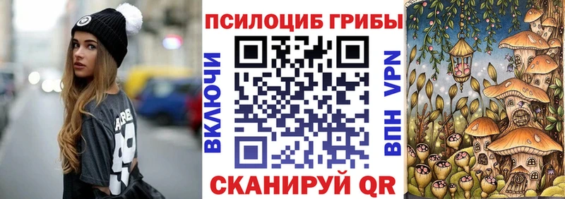 купить закладку сайты даркнета Telegram Псилоцибиновые грибы мухоморы Щёлково
